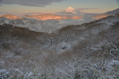 箱根山中にて