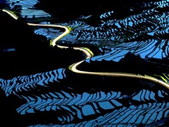 夜の棚田を縫う