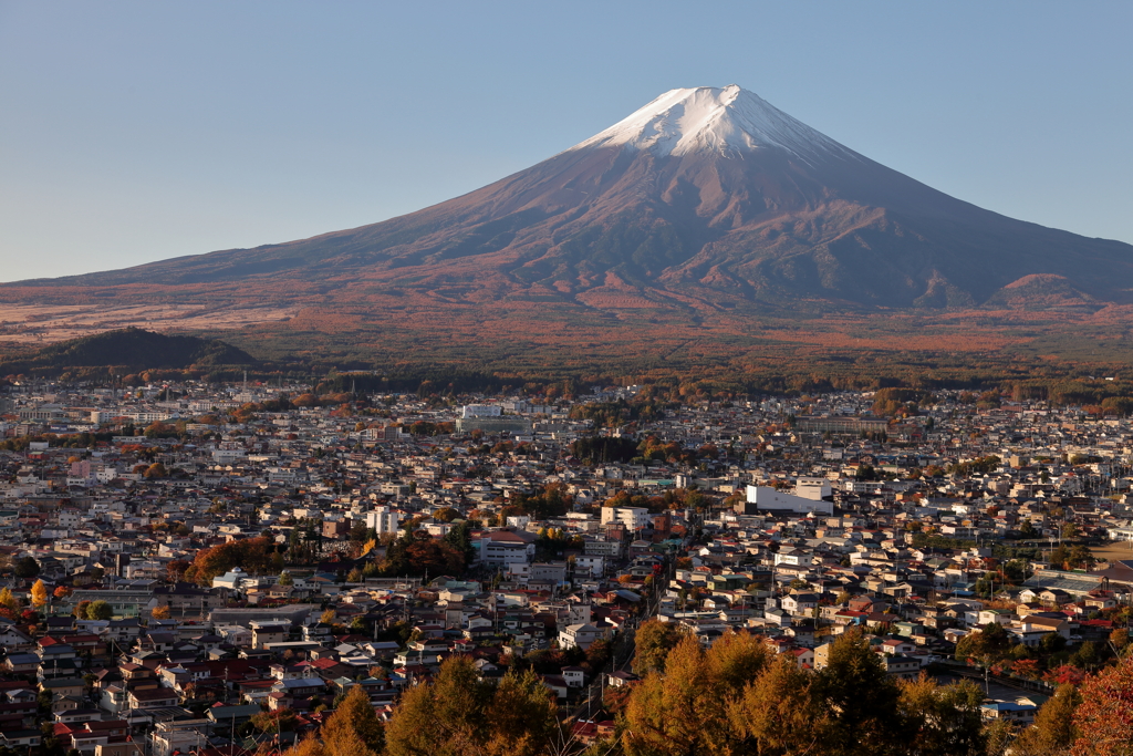 秋の富士山麓