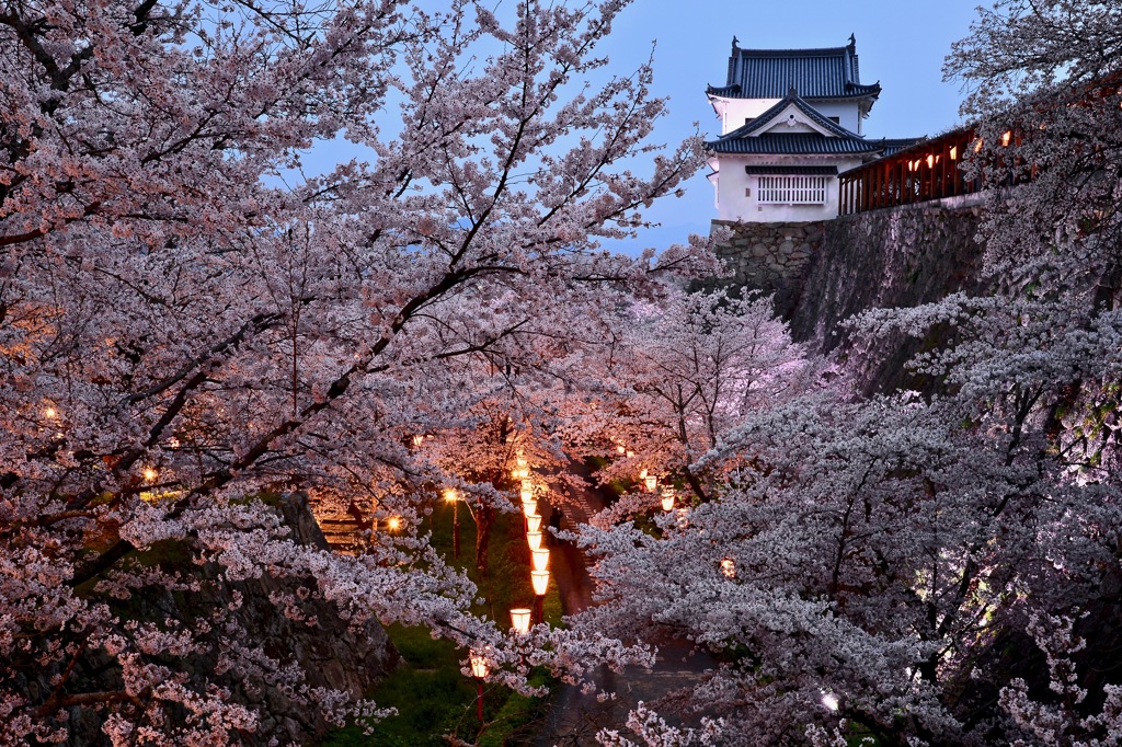 鶴山公園-1
