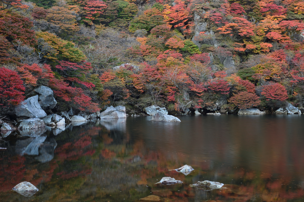 日本庭園2