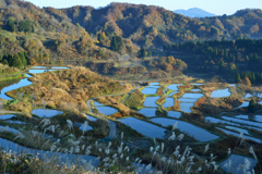 朝日に輝く