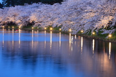 弘前公園桜ライトアップ-1