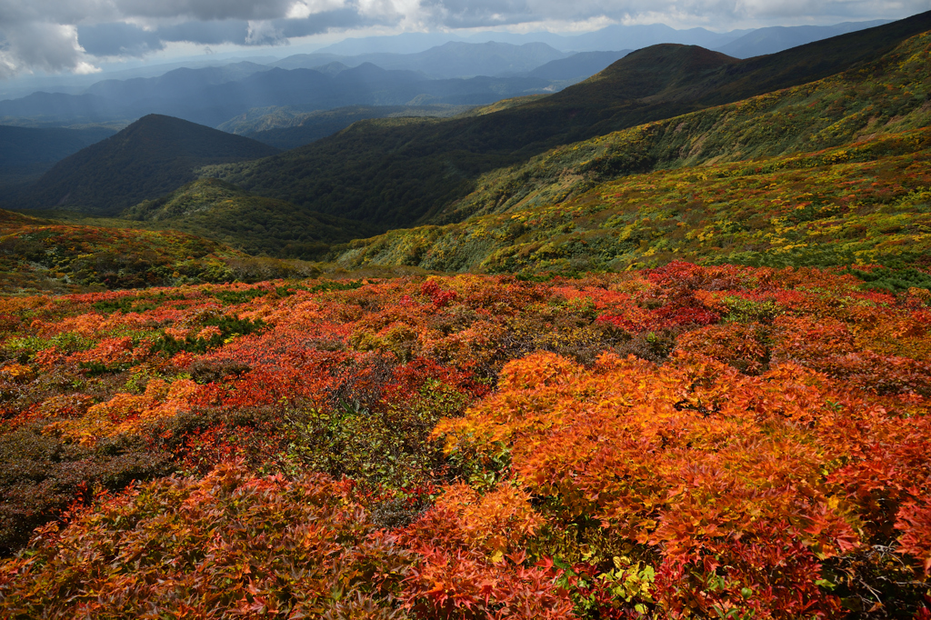 栗駒山紅葉2