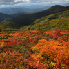 栗駒山紅葉2