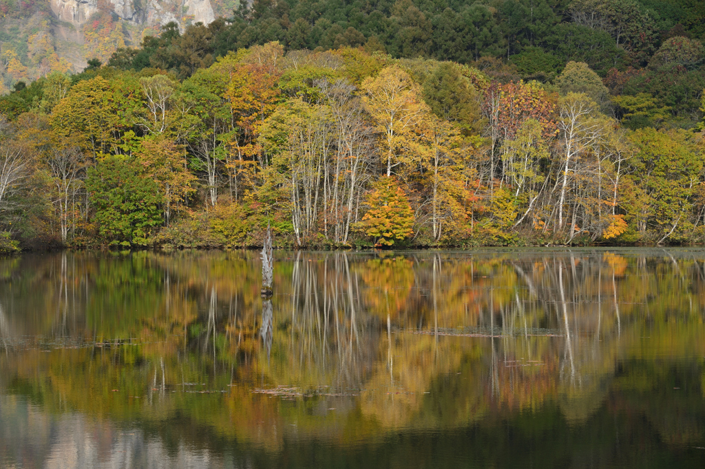 戸隠鏡池紅葉