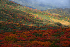 栗駒山紅葉1