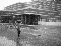 初雪