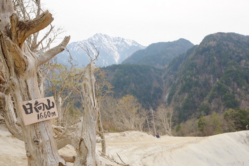 3A35A265-780E-4853-854F-75CFB889A118