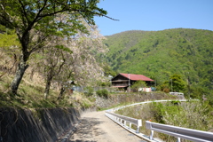 56298301-417D-48AB-9199-9AA839336F2E