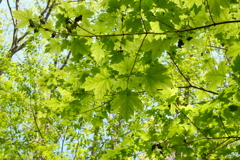 057D006C-8B3C-417C-AA28-2FF9501B9FF7