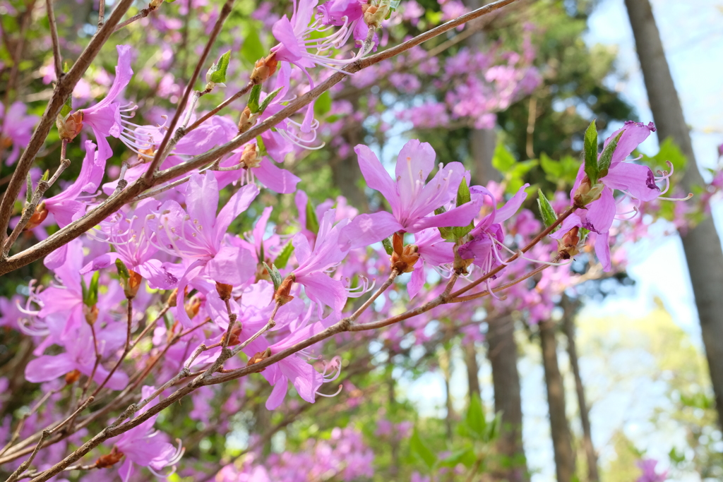 BE72D424-185E-4A3D-9A03-8529290918E8