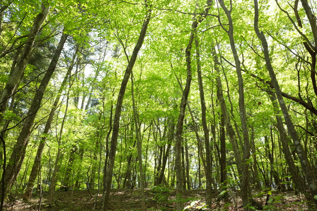 35164CC6-BB02-48AD-8EEC-E5EEA5AA1701