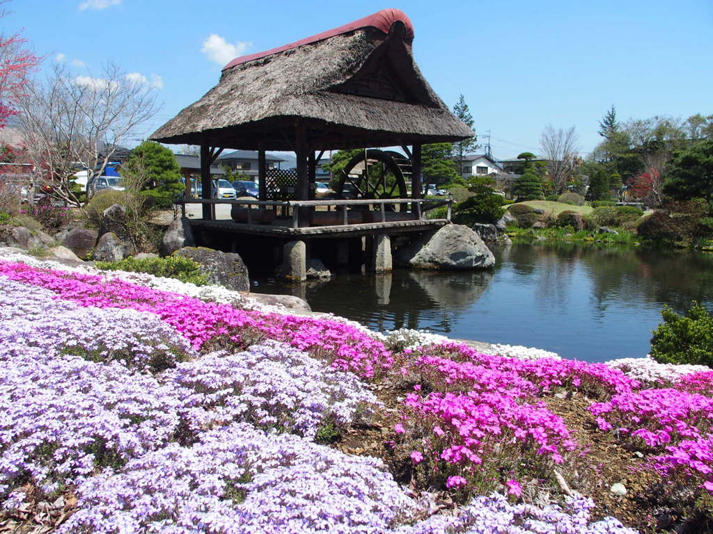忍野八海