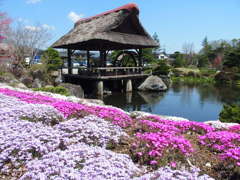忍野八海