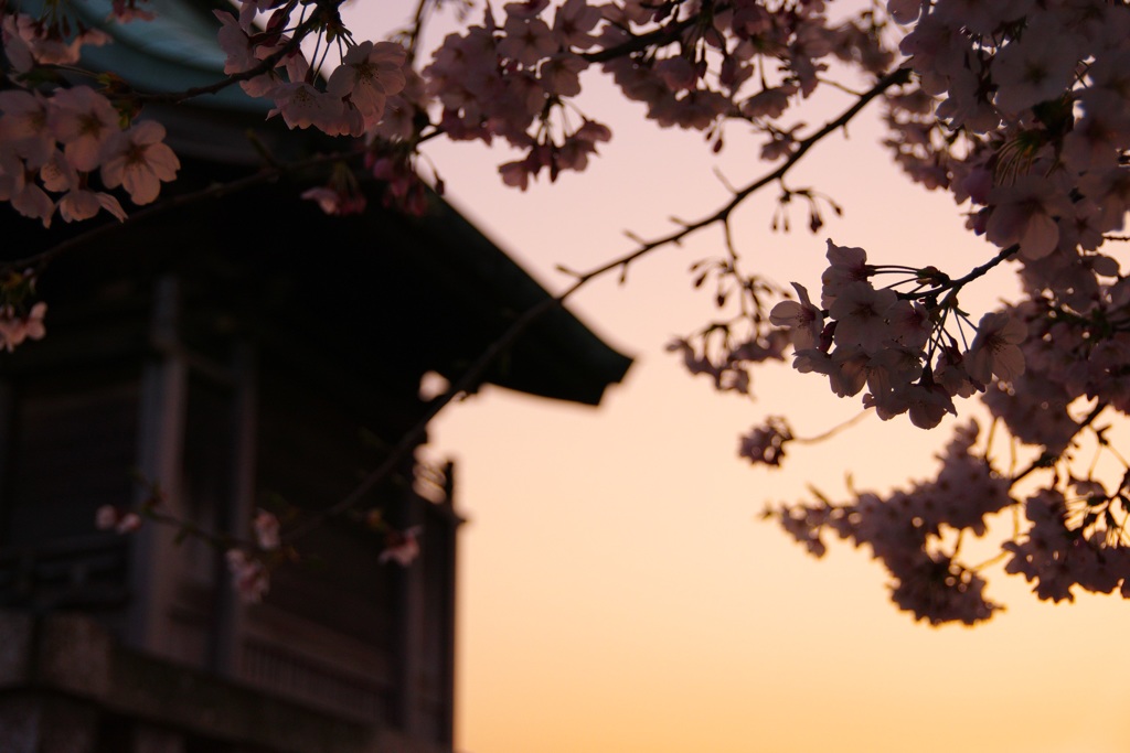 夕景②