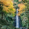 晩秋の養老