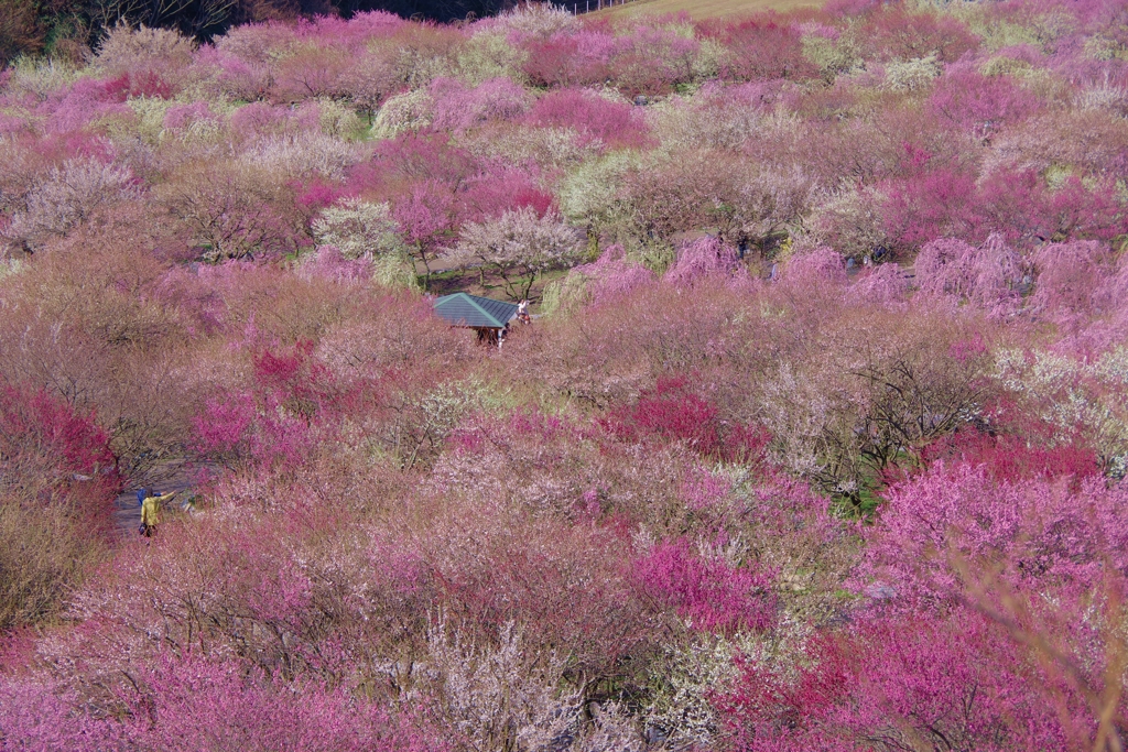 いなべ市農業公園