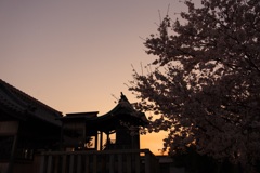 夕景③
