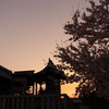 夕景③