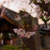 夕景①
