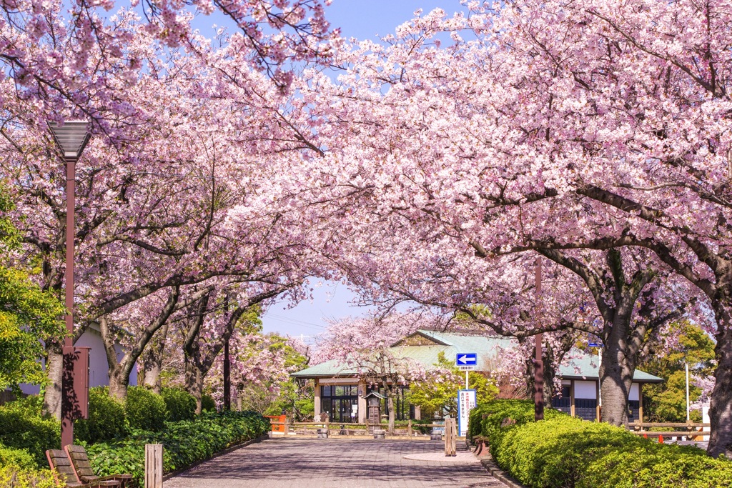 清洲城③