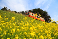 菜の花列車　＃２