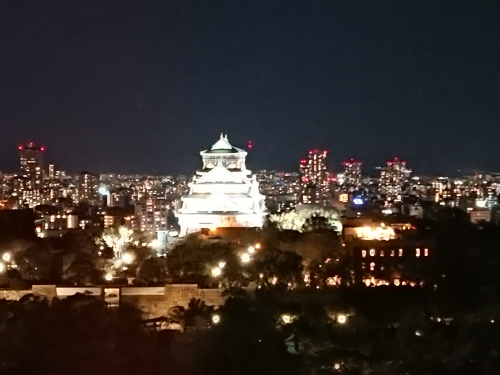 闇夜に浮かぶ大阪城