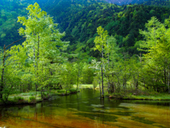 田代池