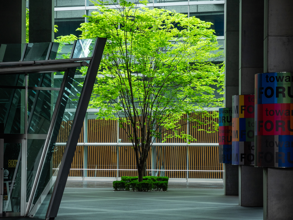 人がいない東京国際フォーラム広場