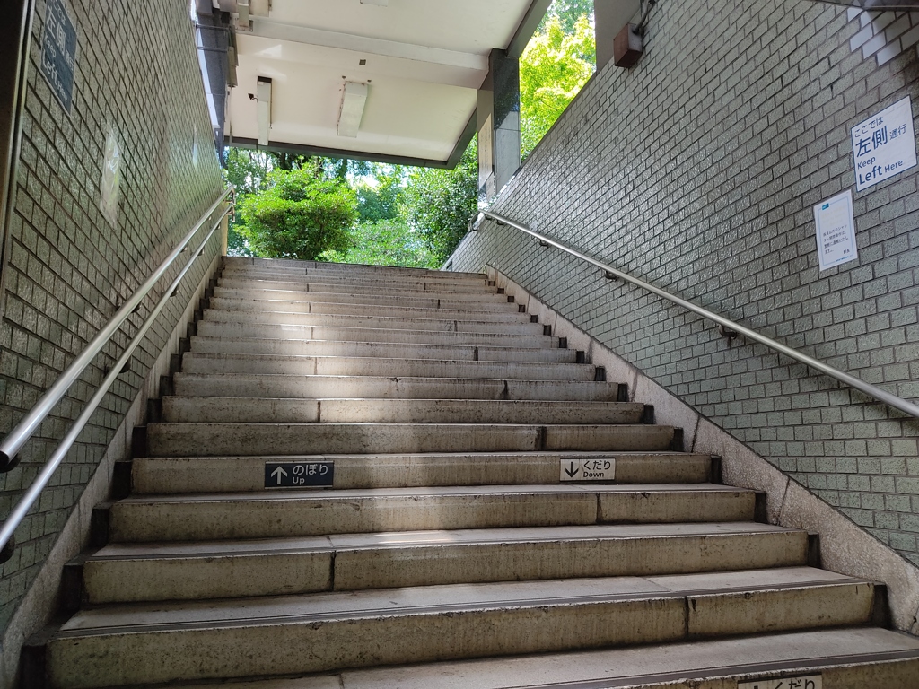 出口の先は森の中？