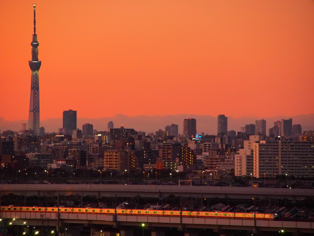 夕刻のスカイツリーと京葉線