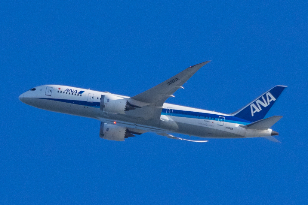 全日本空輸 B787-8 Dreamliner JA815A