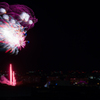 TDL ニューイヤーズ・イヴ 花火04