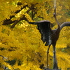イチョウと鶴の噴水