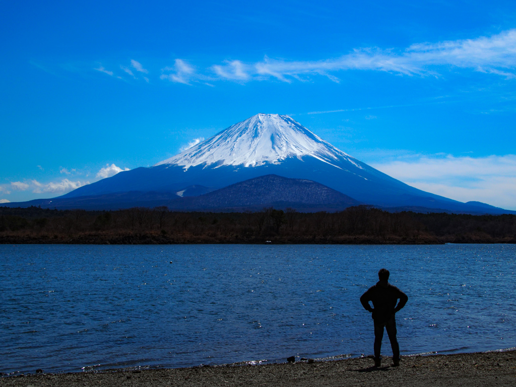 富士山を望む