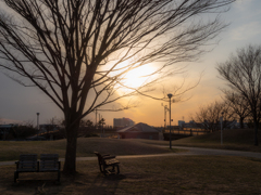 浦安夕景 明海の丘公園