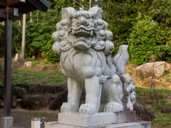 保食神社(うけもちじんじゃ)狛犬2