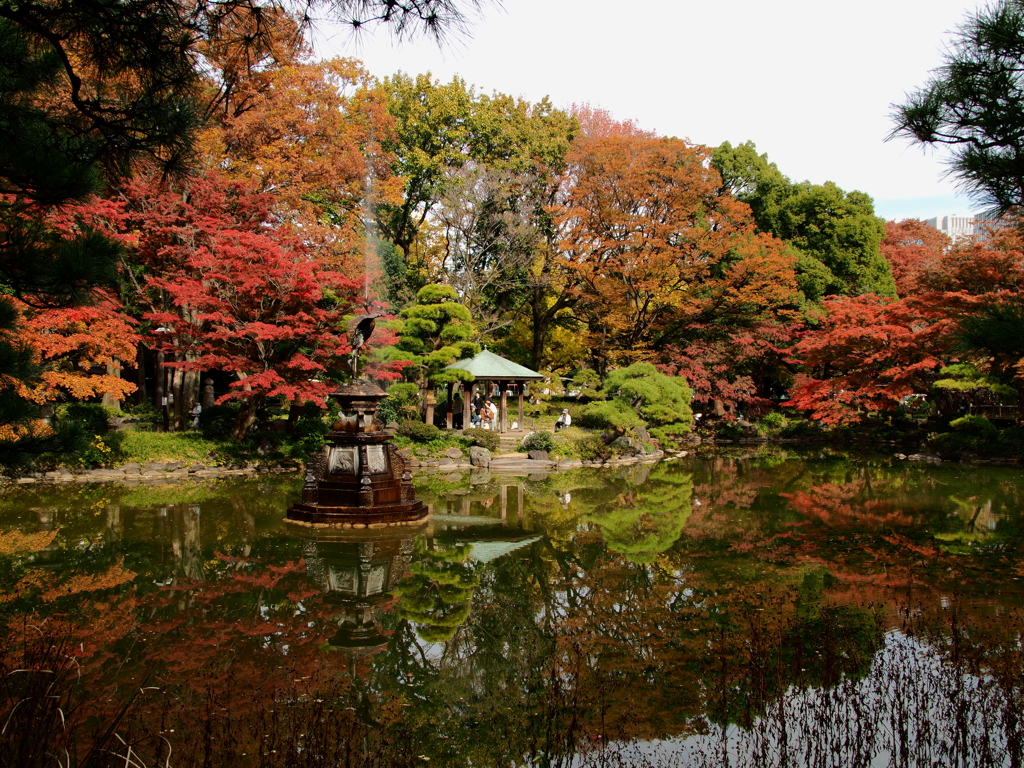 紅葉(日比谷公園 鶴の噴水エリア)