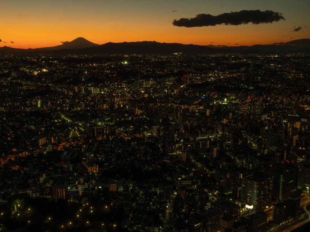 横浜夕景 富士山と横浜市街