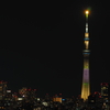 3.11特別ライティング「ゆり」