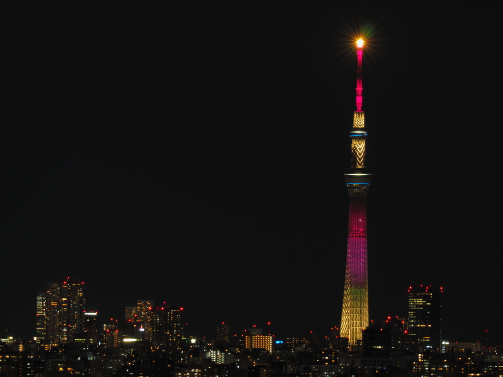 3.11特別ライティング「ハイビスカス」