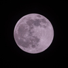 PINKMOON