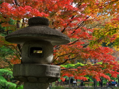 紅葉と灯篭