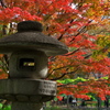紅葉と灯篭