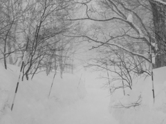 雪山道