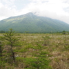 男体山とワタスゲ(戦場ヶ原)