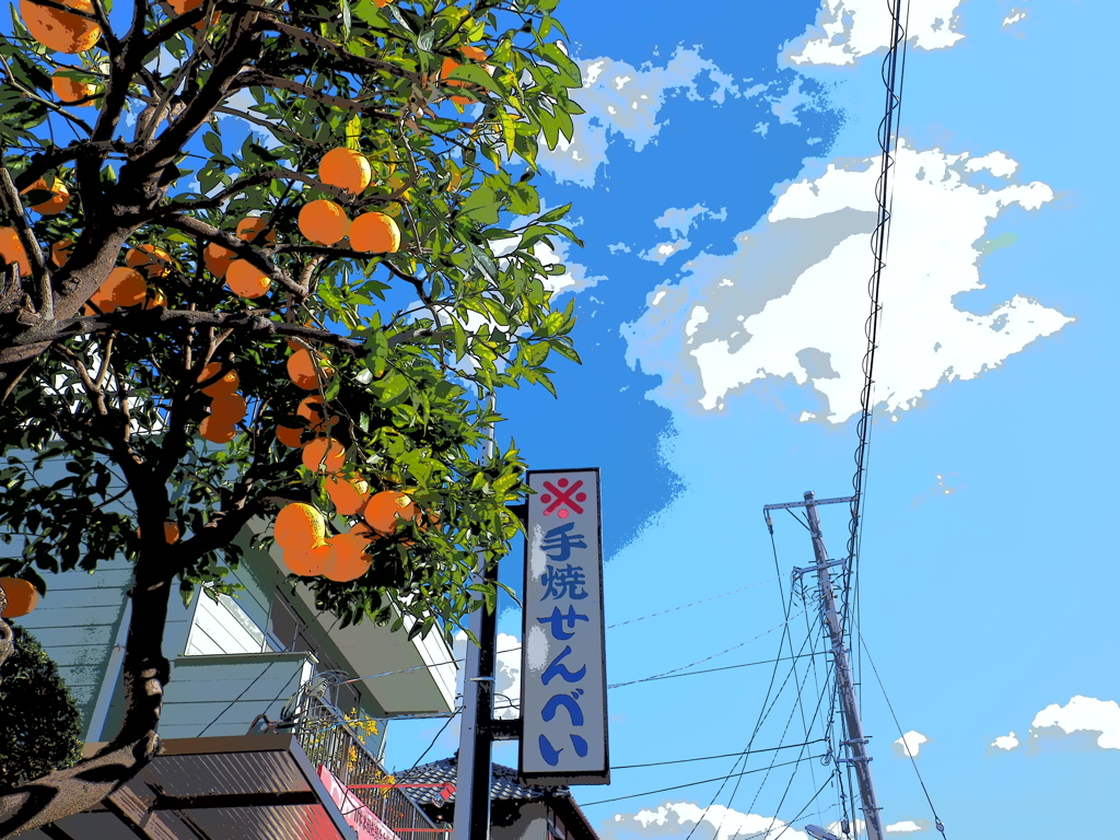 浦安スナップ 青空と柑橘