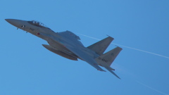 F-15機動飛行5(岐阜基地航空祭2018)