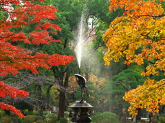 紅葉と鶴の噴水 2